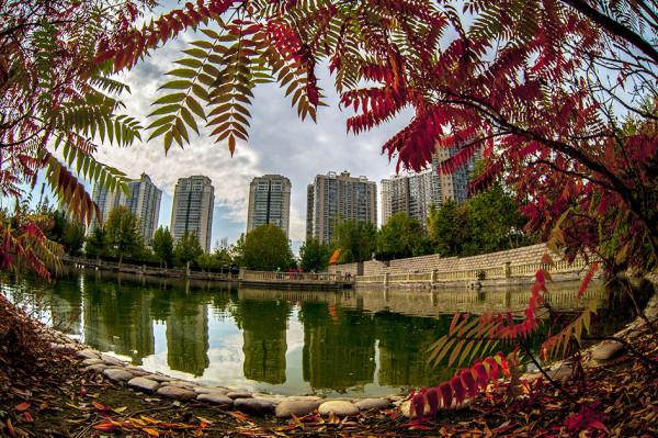 秋 韻 賦----《蝶變回天》北京天通苑靚麗美景拍不完（18）