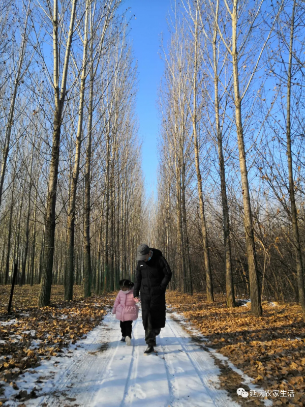 冰釣，享受冬季的樂趣