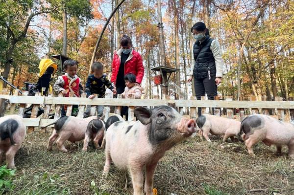 “大武漢”福利大放送！張公山寨門票免費領