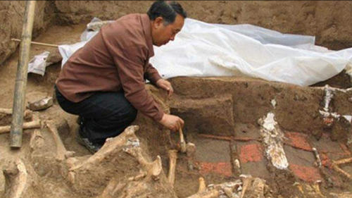 陝西發現古代墓葬群，出土17座大型古墓，墓中景象讓人揪心