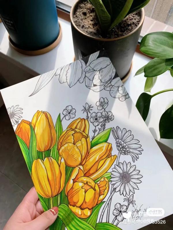 頂級創意線描,張張精緻走心,不收藏太可惜了 頂級創意線描,張張精緻走心,不收藏太可惜了