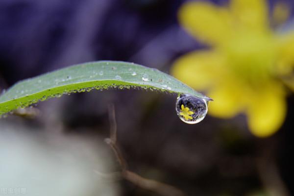 心頭那個首飾夢