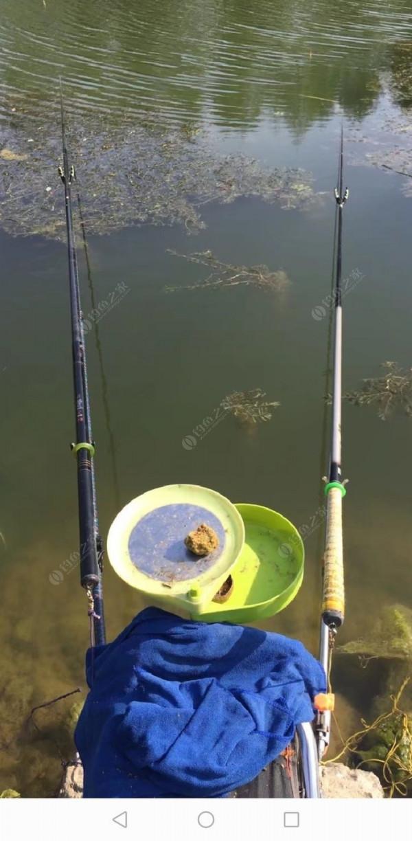 百人競釣黃碼河