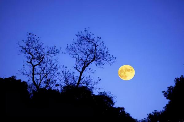 人為萬物之靈 酒乃五穀之精