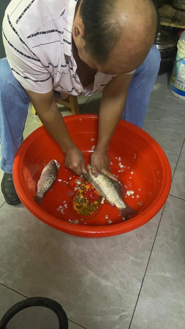 野釣神仙組合 野釣神仙組合