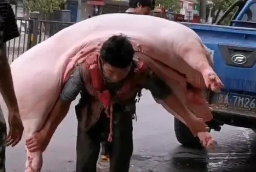 貴州47歲大叔,每天背幾千斤豬肉,月薪6千元,卻養大5個孩子 貴州47歲大叔,每天背幾千斤豬肉,月薪6千元,卻養大5個孩子