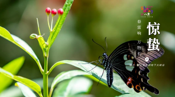 用二十四節氣開啟山東，齊風魯韻美如畫