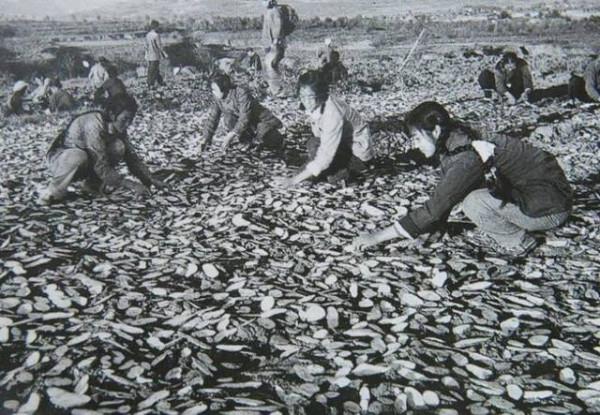 1964年,上將張愛萍會議時突然離場,為何周總理要攔下他搜查? 1964年,上將張愛萍會議時突然離場,為何周總理要攔下他搜查?