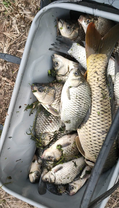 野釣技術無用?資源是基礎技術是保證,純資源論不可取 野釣技術無用?資源是基礎技術是保證,純資源論不可取