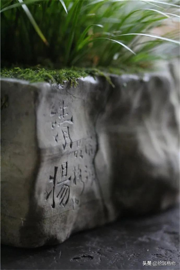 王大濛：鑿盆種蒲