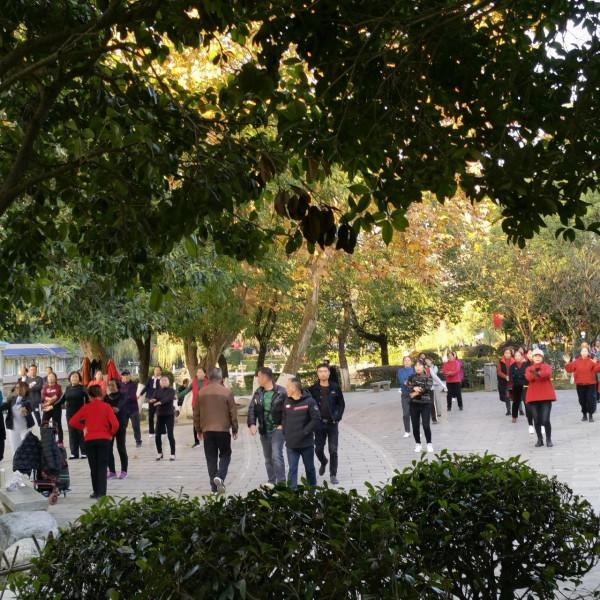 歡樂的紫舞公園