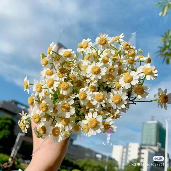 好事總會發生在下個轉彎