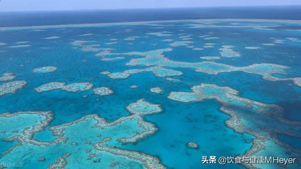 2021年的五個環境好訊息,大熊貓不再瀕危,臭氧層也在恢復 2021年的五個環境好訊息,大熊貓不再瀕危,臭氧層也在恢復