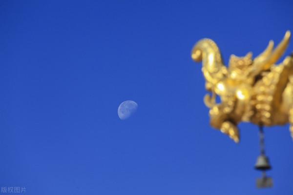 大禮拜，有氧運動，調理全身