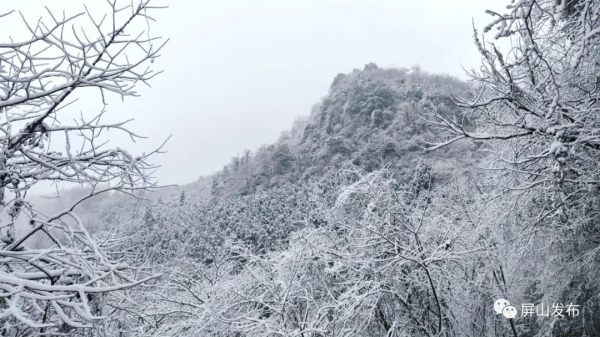 雪雪雪！老君山最新雪景照來了