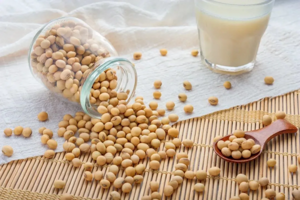 得了脂肪肝，是不是要戒主食？營養寶塔送給你