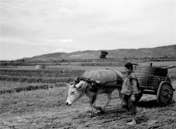 1958年,部隊領導去東北學習,看見糧倉管理員後哭喊：你居然還活著