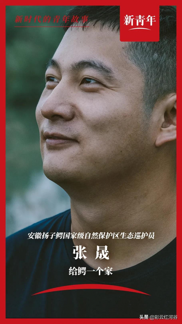 注意！本條推送有鱷魚出沒