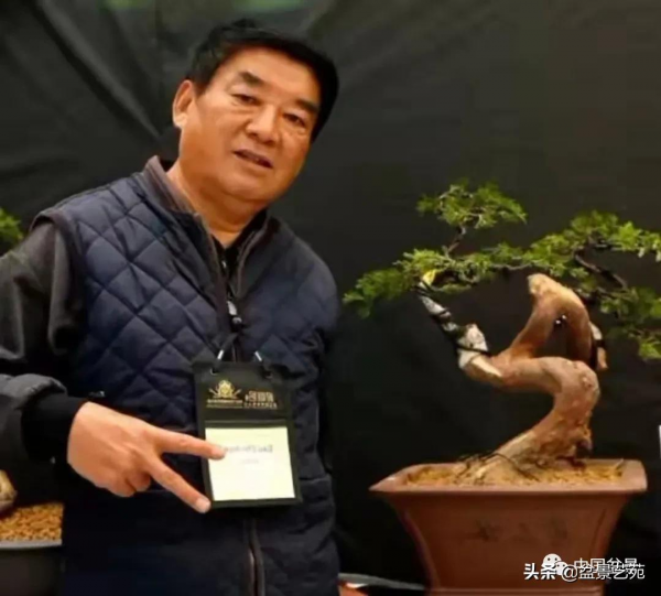 老樹閒看百鳥歸——訪著名盆景藝術家曹志振先生