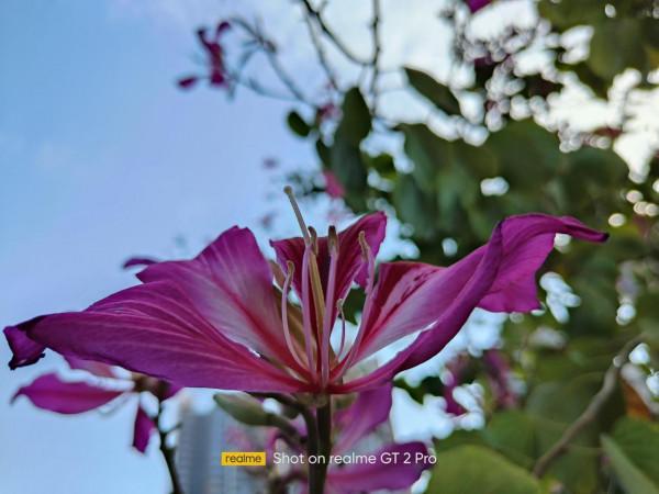 2K直屏真我GT2 Pro：質感對得起價格