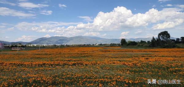 不一樣的大理自由行筆記，住宿、交通、路線詳細攻略，避坑