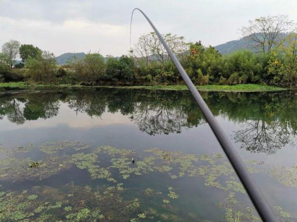 長竿短線並不神秘,深冬初春野釣利器,技術要點詳解 長竿短線並不神秘,深冬初春野釣利器,技術要點詳解