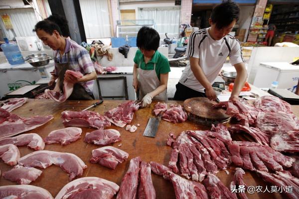 豬肉價格有望持續上漲，近期的走勢非常良好，這下養殖戶有信心了