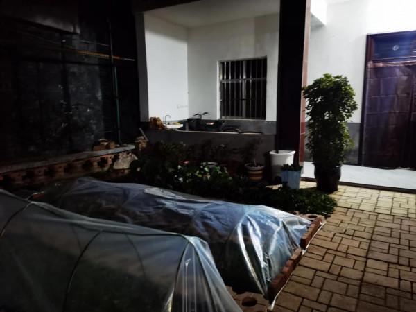 農家小院兩日遊