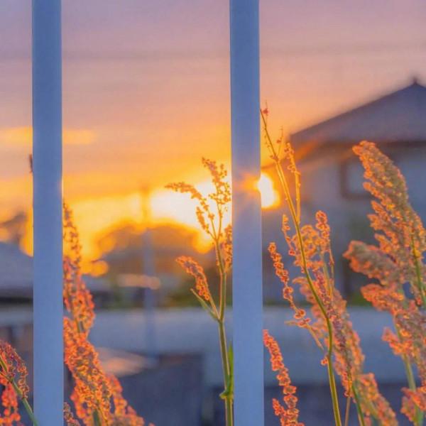 木心筆下的神仙短句 木心筆下的神仙短句