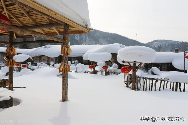遠嫁他鄉看見這道菜特別想念自己的家鄉，下雪了該吃殺豬菜了