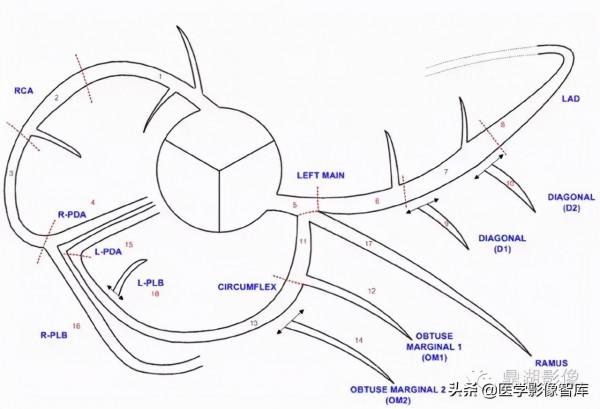 CT斷層解剖圖譜最全總結「推薦收藏」 CT斷層解剖圖譜最全總結「推薦收藏」