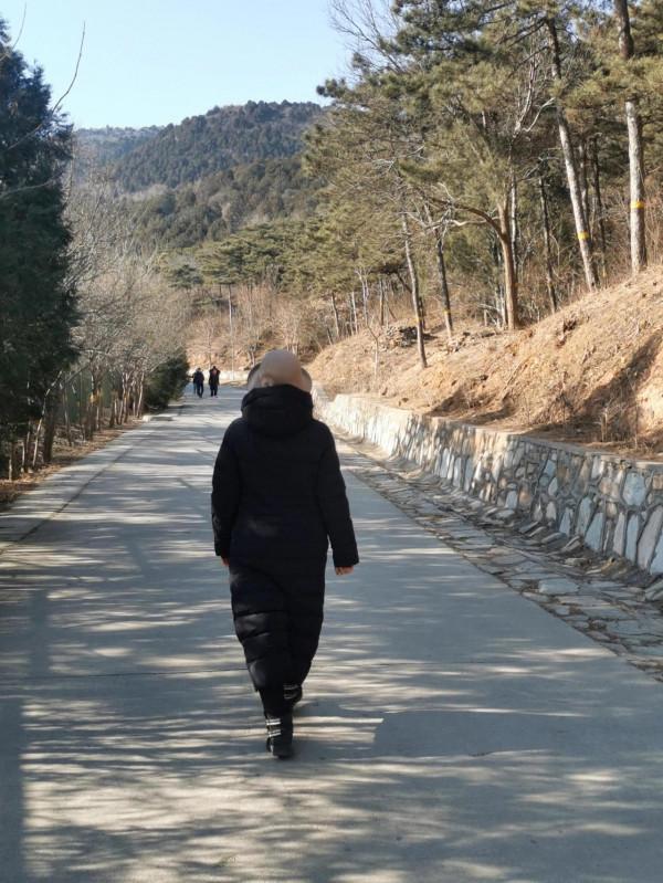 元旦快樂(登山小記) 元旦快樂(登山小記)