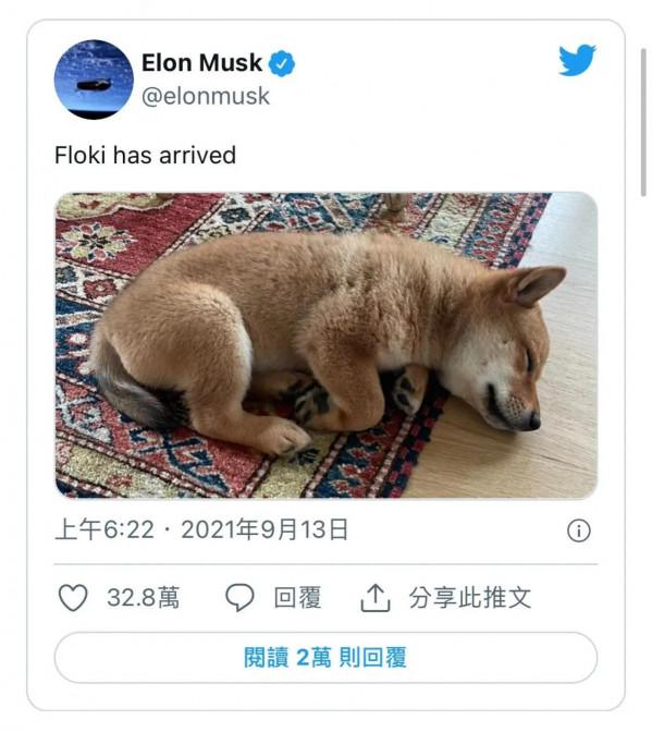 新狗幣 SANTA FLOKI 單日漲 142 倍!馬斯克發推愛犬聖誕裝照 (Hohoho) 新狗幣 SANTA FLOKI 單日漲 142 倍!馬斯克發推愛犬聖誕裝照 (Hohoho)