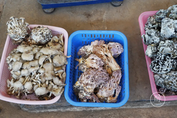 1小時飛攏的城市,有全國最好逛的市場 1小時飛攏的城市,有全國最好逛的市場