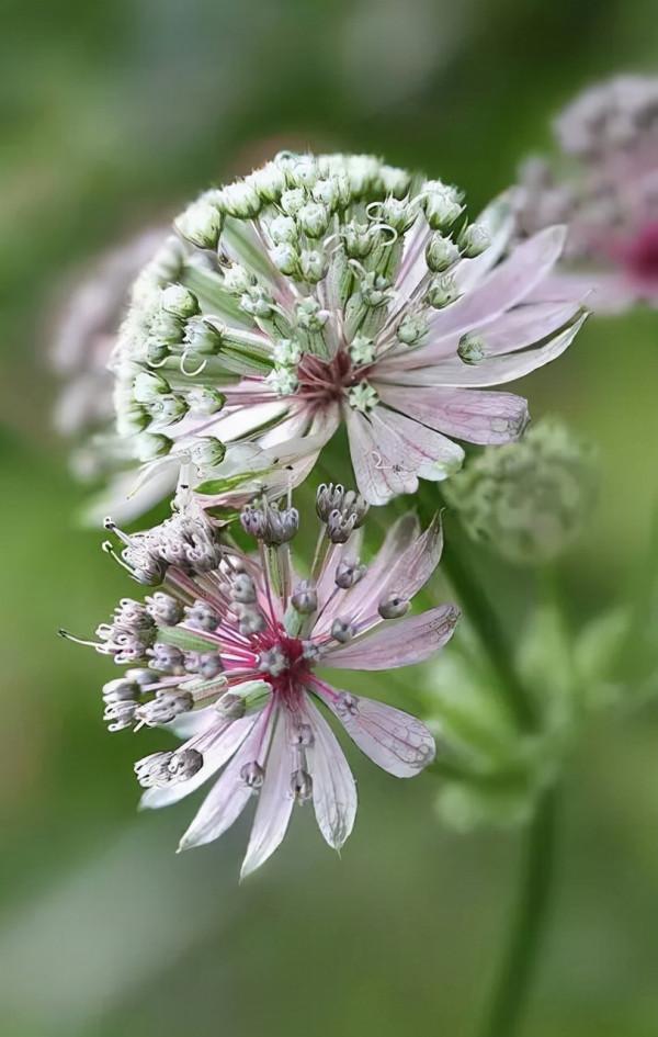 可以不吃但不可以不看