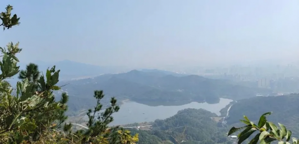 鄉土桐城 | 登烏石山:人生就是一次次爬山 鄉土桐城 | 登烏石山:人生就是一次次爬山