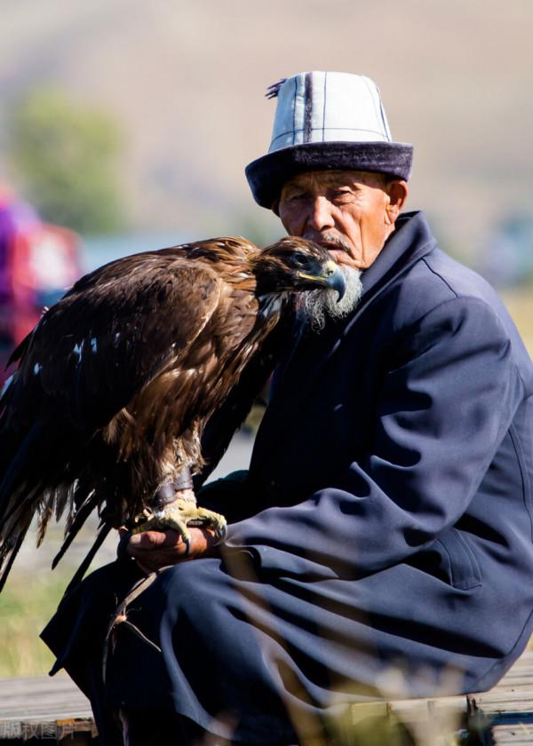 超出你想象的空中草原