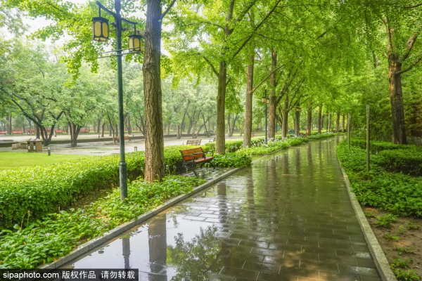 驚豔!這個“太陽神”公園竟藏著江南庭院,古色古香還免費! 驚豔!這個“太陽神”公園竟藏著江南庭院,古色古香還免費!