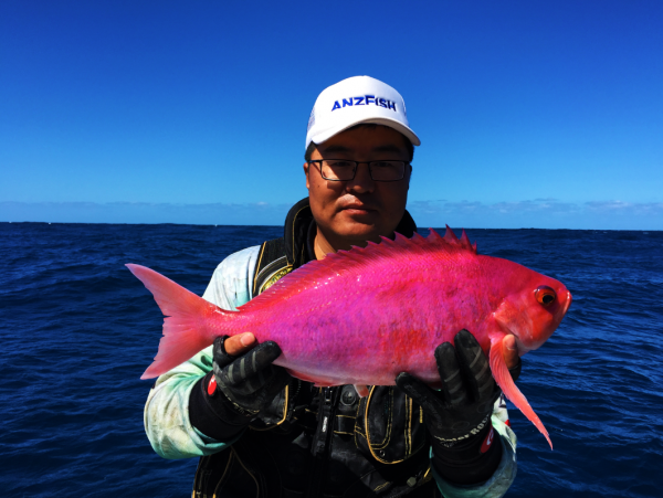 我應該是世界上第一個釣到此魚之人