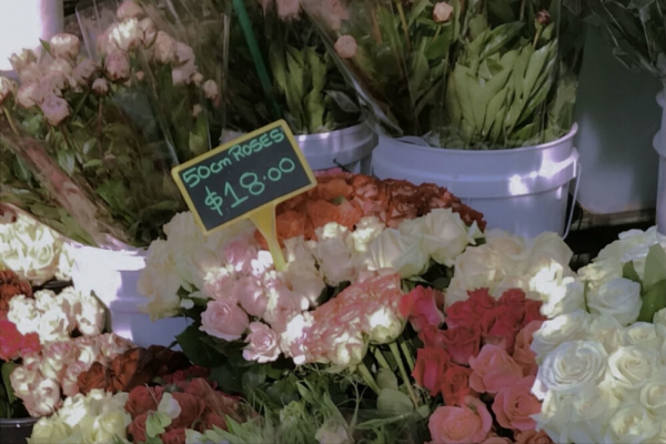 才情滿腹，多才多藝的星座，人群中閃閃發光，藝術審美極好