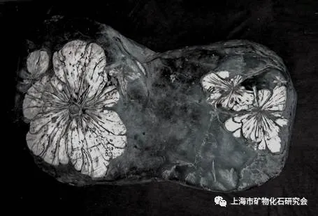 周梅教授：漫話方解石