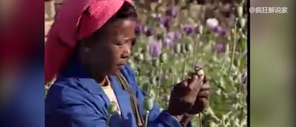 90年代的毒販有多囂張？持槍拒捕，與警察對抗82天！紀錄片