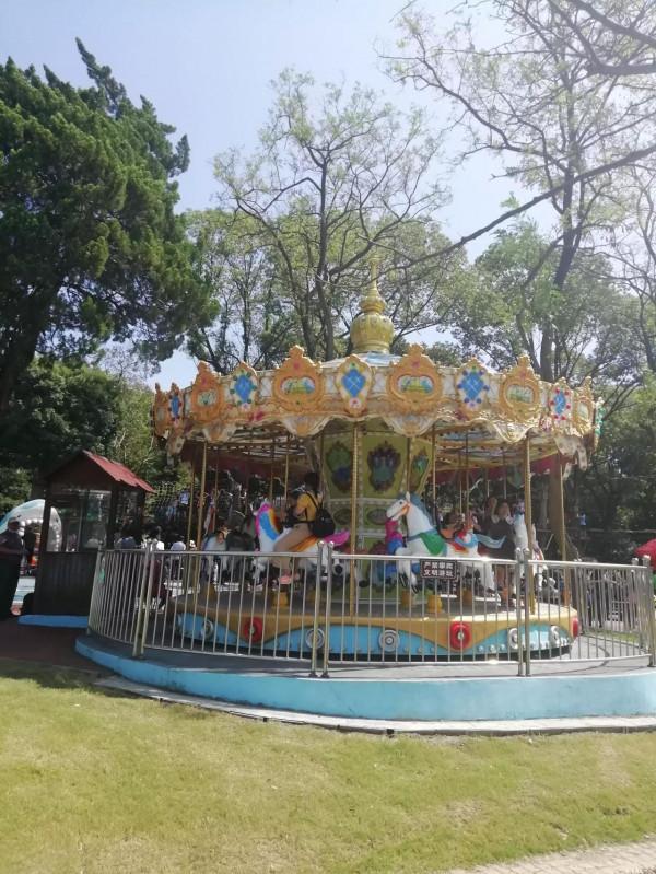 中秋佳節，百合花已盛開