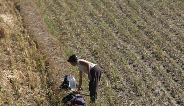 浙江賓利姐：出生貧農，身價已超20億，聲稱誰娶了她就送誰賓利車
