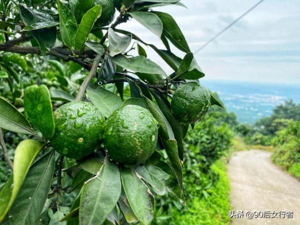 成都蒲江與眉山交界處有座道教仙山，歷史悠久古蹟眾多卻少有人知