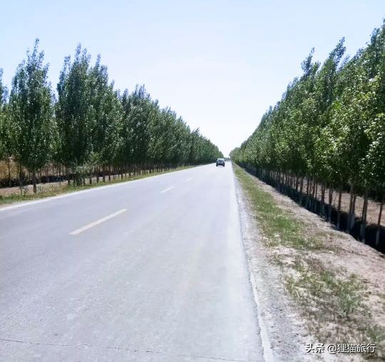 新疆有一個叫芳草湖的地方,有6萬多人口,位於呼圖壁河下游 新疆有一個叫芳草湖的地方,有6萬多人口,位於呼圖壁河下游