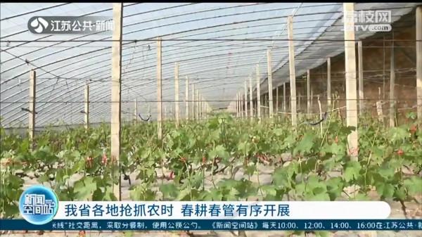 江蘇各地搶抓農時 春耕春管有序開展