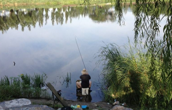 偷釣水庫被管理方砍傷,竟自行去醫院縫針,釣友無奈幾十萬收入飛了