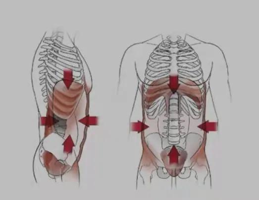 力量源於呼吸，而非肌肉