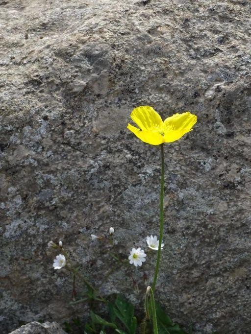 新疆徒步穿越烏蘇古道第二天翻越包紮敦達板